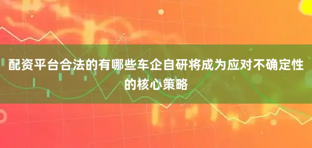 配资平台合法的有哪些车企自研将成为应对不确定性的核心策略