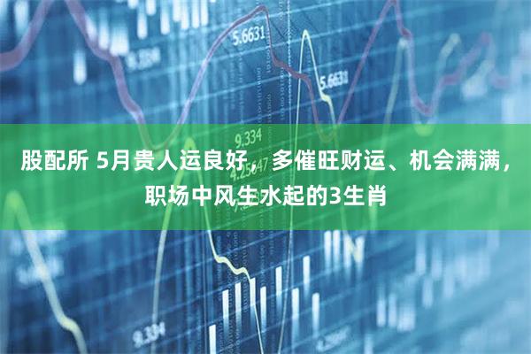 股配所 5月贵人运良好，多催旺财运、机会满满，职场中风生水起的3生肖
