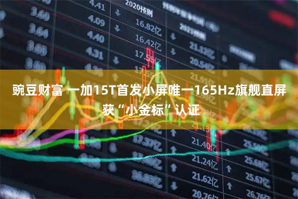 豌豆财富 一加15T首发小屏唯一165Hz旗舰直屏 获“小金标”认证
