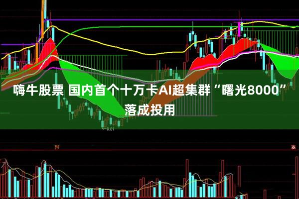 嗨牛股票 国内首个十万卡AI超集群“曙光8000”落成投用