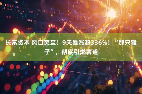 长富资本 风口突至！9天暴涨超336%！“那只猴子”，彻底引燃赛道